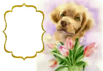 श्रेणी से फ़ोटो प्रभाव विभिन्न त्योहार № 190529