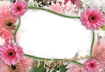 फ़ोटो फ़्रेम पर लेख: बधाई हो!