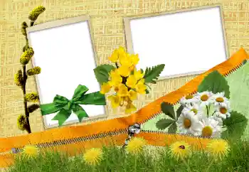 श्रेणी से फ़ोटो प्रभाव विभिन्न त्योहार № 84202