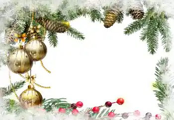 श्रेणी से फ़ोटो प्रभाव क्रिसमस कार्ड्स № 129897