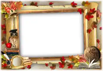 श्रेणी से फ़ोटो प्रभाव विभिन्न स्कूलीय № 138618