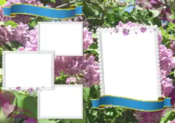 श्रेणी से फ़ोटो प्रभाव विभिन्न स्कूलीय № 205334