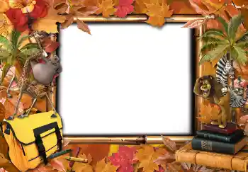 श्रेणी से फ़ोटो प्रभाव विभिन्न स्कूलीय № 4735