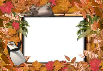 श्रेणी से फ़ोटो प्रभाव विभिन्न स्कूलीय № 4736