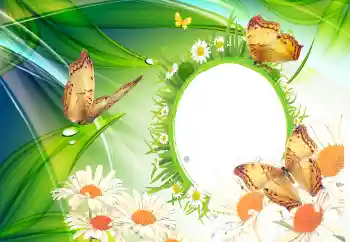 श्रेणी से फ़ोटो प्रभाव गर्मियाँ № 112110