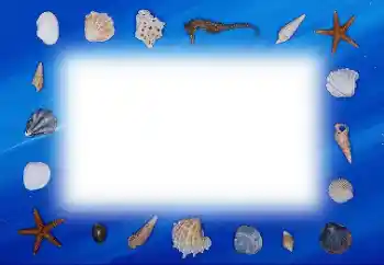 श्रेणी से फ़ोटो प्रभाव गर्मियाँ № 113121