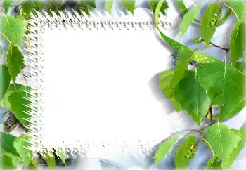 श्रेणी से फ़ोटो प्रभाव गर्मियाँ № 132911