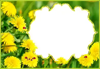 श्रेणी से फ़ोटो प्रभाव गर्मियाँ № 132994