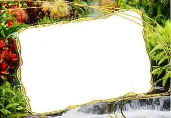 श्रेणी से फ़ोटो प्रभाव गर्मियाँ № 14917