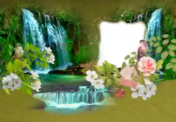 श्रेणी से फ़ोटो प्रभाव गर्मियाँ № 153156