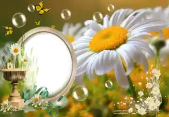 श्रेणी से फ़ोटो प्रभाव गर्मियाँ № 153157