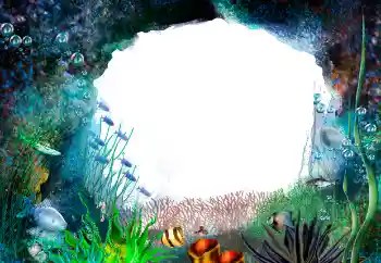 श्रेणी से फ़ोटो प्रभाव गर्मियाँ № 155944