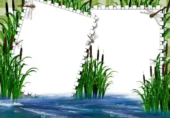 श्रेणी से फ़ोटो प्रभाव गर्मियाँ № 31862