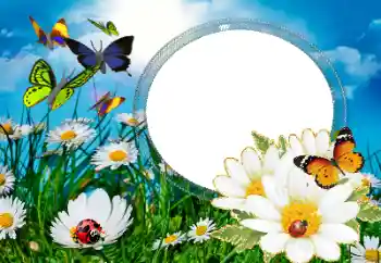 श्रेणी से फ़ोटो प्रभाव गर्मियाँ № 40377