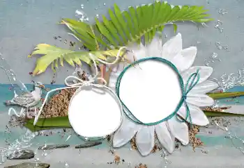 श्रेणी से फ़ोटो प्रभाव गर्मियाँ № 47208