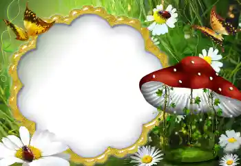 श्रेणी से फ़ोटो प्रभाव गर्मियाँ № 5072