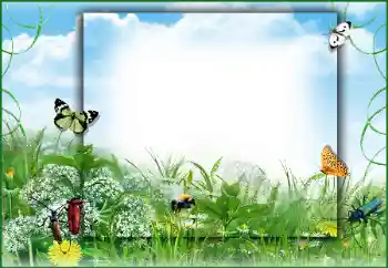 श्रेणी से फ़ोटो प्रभाव गर्मियाँ № 50891