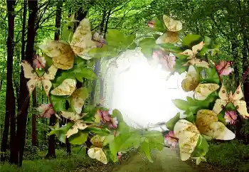 श्रेणी से फ़ोटो प्रभाव गर्मियाँ № 5287