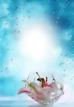 श्रेणी से फ़ोटो प्रभाव गर्मियाँ № 64487