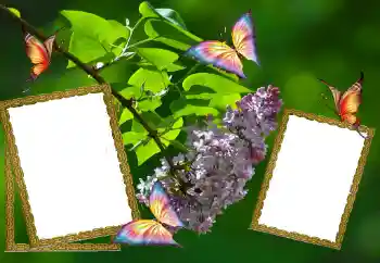 श्रेणी से फ़ोटो प्रभाव गर्मियाँ № 81627