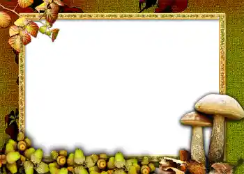 श्रेणी से फ़ोटो प्रभाव पतझड़ № 1011