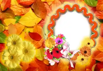 श्रेणी से फ़ोटो प्रभाव पतझड़ № 142255