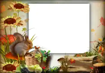 श्रेणी से फ़ोटो प्रभाव पतझड़ № 142363