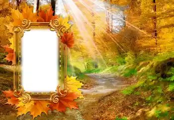 श्रेणी से फ़ोटो प्रभाव पतझड़ № 142463