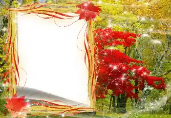 श्रेणी से फ़ोटो प्रभाव पतझड़ № 143481