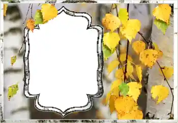 श्रेणी से फ़ोटो प्रभाव पतझड़ № 144851