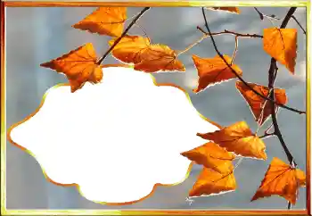 श्रेणी से फ़ोटो प्रभाव पतझड़ № 145079