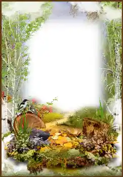 श्रेणी से फ़ोटो प्रभाव पतझड़ № 1543