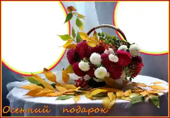 श्रेणी से फ़ोटो प्रभाव पतझड़ № 170601. फ़ोटो फ़्रेम पर लेख: पतझड़ श्रेणी से फ़ोटो प्रभाव पतझड़ № 170601. फ़ोटो फ़्रेम पर लेख: पतझड़
