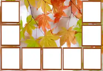 श्रेणी से फ़ोटो प्रभाव पतझड़ № 195267