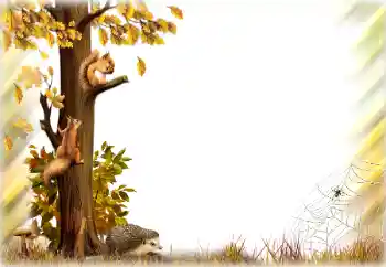 श्रेणी से फ़ोटो प्रभाव पतझड़ № 196642