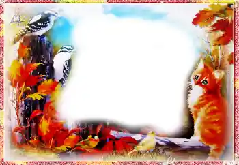 श्रेणी से फ़ोटो प्रभाव पतझड़ № 86557 श्रेणी से फ़ोटो प्रभाव पतझड़ № 86557