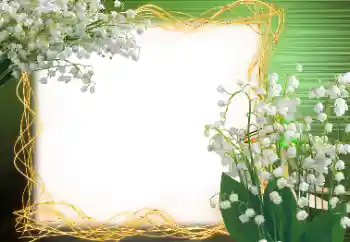 श्रेणी से फ़ोटो प्रभाव वसंत № 113120