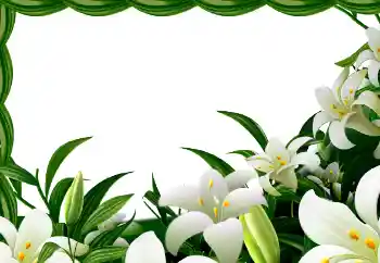 श्रेणी से फ़ोटो प्रभाव वसंत № 113129