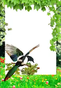 श्रेणी से फ़ोटो प्रभाव वसंत № 147761 श्रेणी से फ़ोटो प्रभाव वसंत № 147761