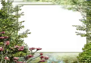 श्रेणी से फ़ोटो प्रभाव वसंत № 149187 श्रेणी से फ़ोटो प्रभाव वसंत № 149187