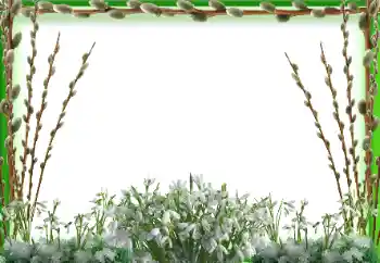 श्रेणी से फ़ोटो प्रभाव वसंत № 197647