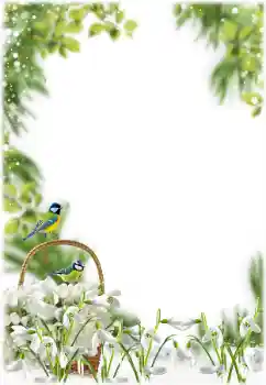 श्रेणी से फ़ोटो प्रभाव वसंत № 205355