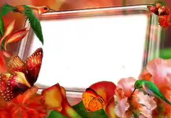 श्रेणी से फ़ोटो प्रभाव वसंत № 4610