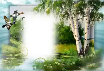 श्रेणी से फ़ोटो प्रभाव वसंत № 49552 श्रेणी से फ़ोटो प्रभाव वसंत № 49552