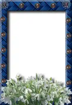 श्रेणी से फ़ोटो प्रभाव वसंत № 8734