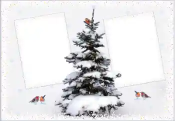 श्रेणी से फ़ोटो प्रभाव सर्दियाँ № 105223 श्रेणी से फ़ोटो प्रभाव सर्दियाँ № 105223