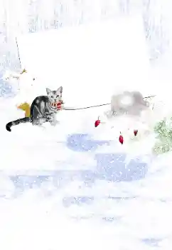 श्रेणी से फ़ोटो प्रभाव सर्दियाँ № 105450 श्रेणी से फ़ोटो प्रभाव सर्दियाँ № 105450