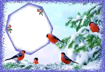 श्रेणी से फ़ोटो प्रभाव सर्दियाँ № 105588 श्रेणी से फ़ोटो प्रभाव सर्दियाँ № 105588