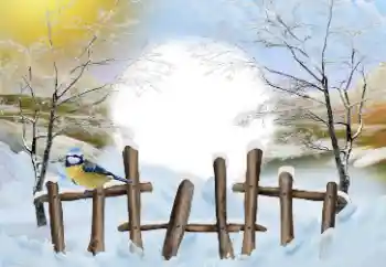 श्रेणी से फ़ोटो प्रभाव सर्दियाँ № 110837 श्रेणी से फ़ोटो प्रभाव सर्दियाँ № 110837