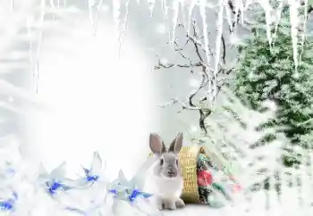 श्रेणी से फ़ोटो प्रभाव सर्दियाँ № 128650 श्रेणी से फ़ोटो प्रभाव सर्दियाँ № 128650